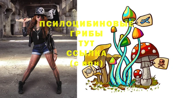 спиды Инта